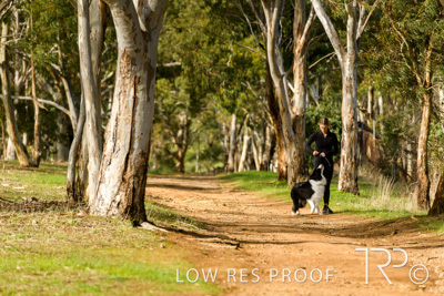 July 2021 / BOW_WOW_210713_518