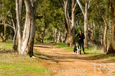 July 2021 / BOW_WOW_210713_520