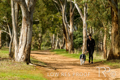 July 2021 / BOW_WOW_210713_522