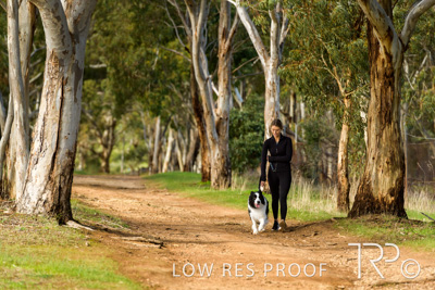 July 2021 / BOW_WOW_210713_524