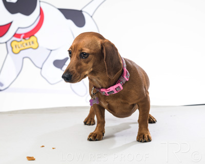 January 2022 / Daisy_001