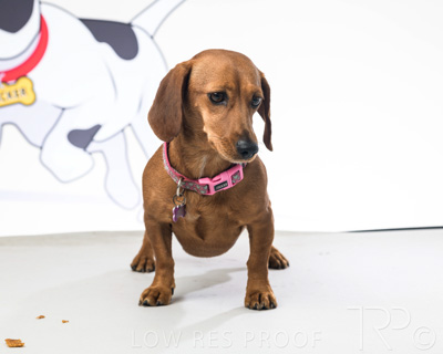 January 2022 / Daisy_005