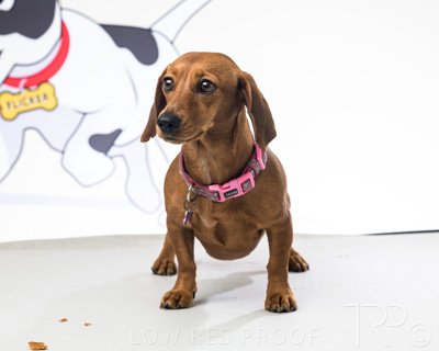 January 2022 / Daisy_007