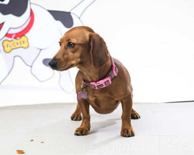 January 2022 / Daisy_009