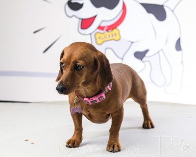 January 2022 / Daisy_010