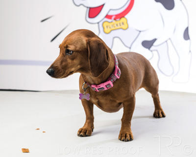 January 2022 / Daisy_012