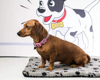 January 2022 / Daisy_013