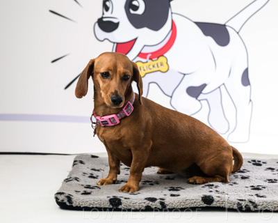 January 2022 / Daisy_015