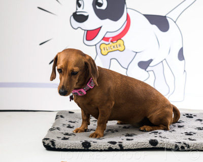 January 2022 / Daisy_016