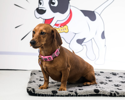 January 2022 / Daisy_017