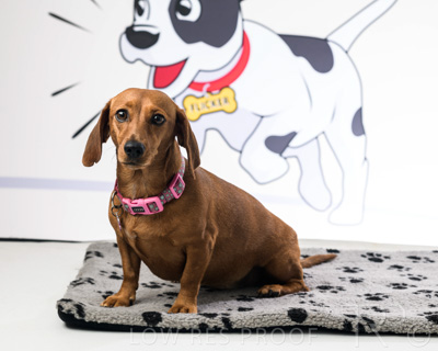 January 2022 / Daisy_018