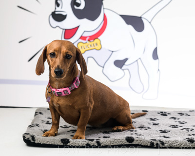 January 2022 / Daisy_019