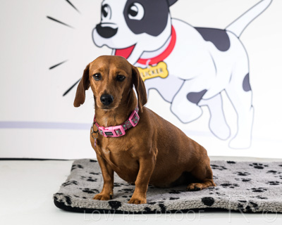 January 2022 / Daisy_023