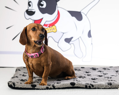 January 2022 / Daisy_025