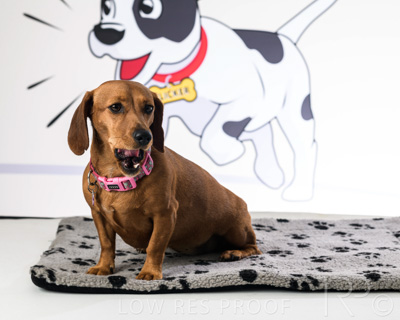 January 2022 / Daisy_026