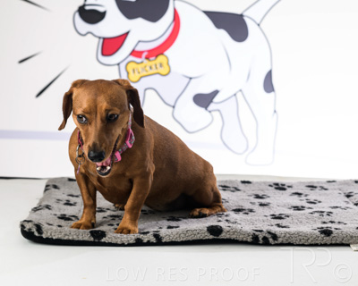 January 2022 / Daisy_027