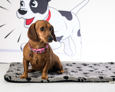 January 2022 / Daisy_028