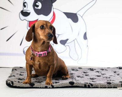 January 2022 / Daisy_029