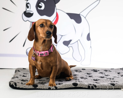 January 2022 / Daisy_031