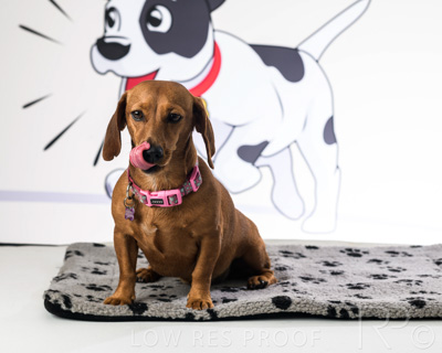 January 2022 / Daisy_032