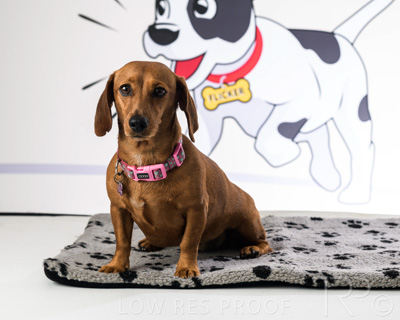 January 2022 / Daisy_036