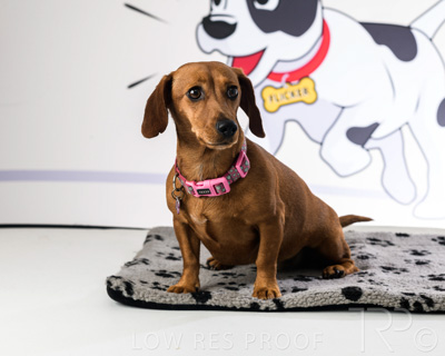 January 2022 / Daisy_037