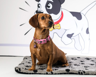 January 2022 / Daisy_039