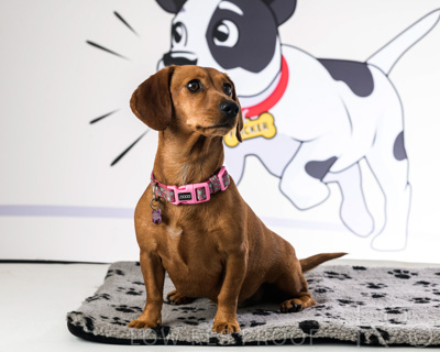 January 2022 / Daisy_040