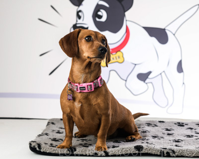 January 2022 / Daisy_042