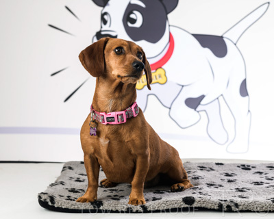 January 2022 / Daisy_043