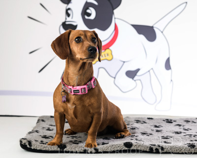 January 2022 / Daisy_044