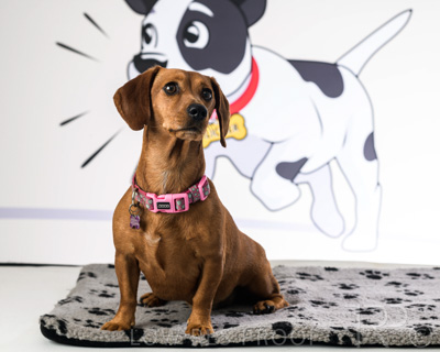 January 2022 / Daisy_045