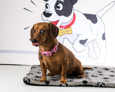 January 2022 / Daisy_046