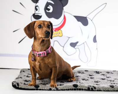 January 2022 / Daisy_047