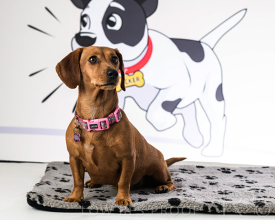 January 2022 / Daisy_049