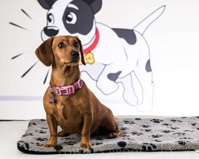 January 2022 / Daisy_053