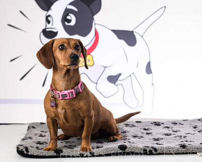 January 2022 / Daisy_055