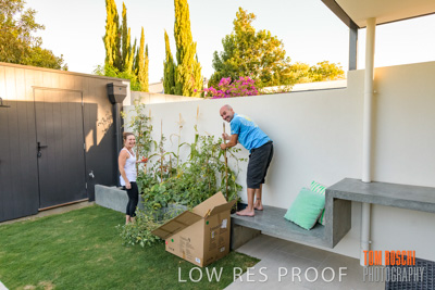 January 2019 / BTF_Henley_BACKYARD_190131_029