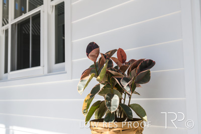 October 2020 / BTF_SOMERTON_PK_201028_042