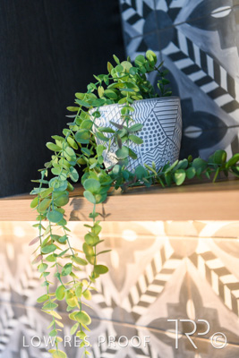 October 2020 / BTF_SOMERTON_PK_201028_288