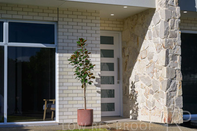 March 2024 / Marino-240326-_Z9C0932