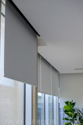 April 2024 / ESPLANADE-240406-_Z9E0495