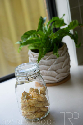 September 2024 / Larges-Bay-240908-_Z9C8306