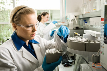 VITERRA 2013 / ABB_007_090505