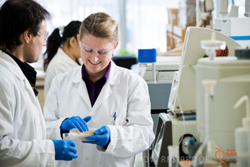 VITERRA 2013 / ABB_384_090505