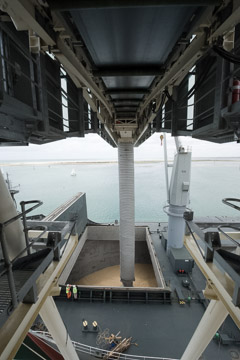 VITERRA 2013 / 091025_VITERA_1ST_SHIPLOAD_198