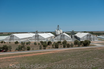VITERRA 2013 / 110224_VITERRA_BOWMANS_859