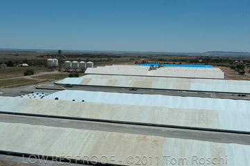 VITERRA 2013 / 110224_VITERRA_BOWMANS_915