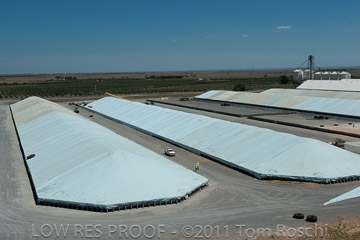 VITERRA 2013 / 110224_VITERRA_BOWMANS_920