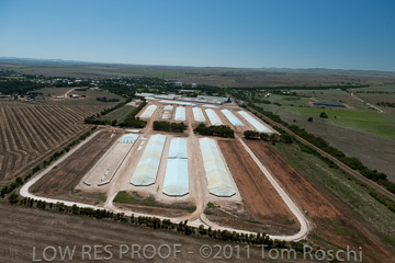 VITERRA 2013 / 110224_VITERRA_GLADSTONE_608